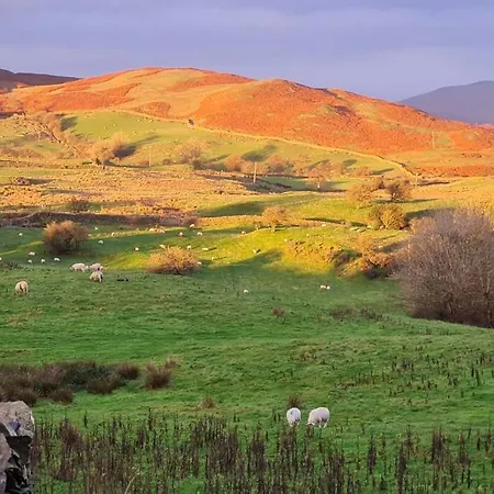 Fell View, District ألفرستون